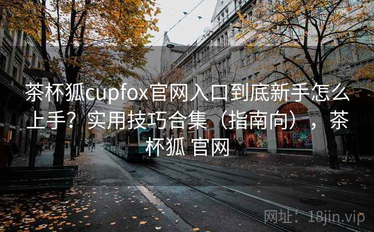 茶杯狐cupfox官网入口到底新手怎么上手？实用技巧合集（指南向），茶杯狐 官网
