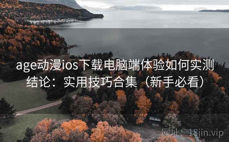 age动漫ios下载电脑端体验如何实测结论：实用技巧合集（新手必看）