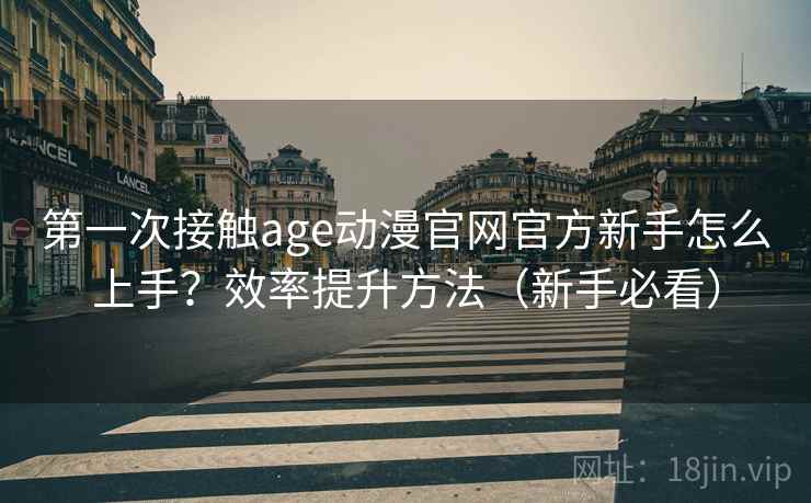 第一次接触age动漫官网官方新手怎么上手？效率提升方法（新手必看）