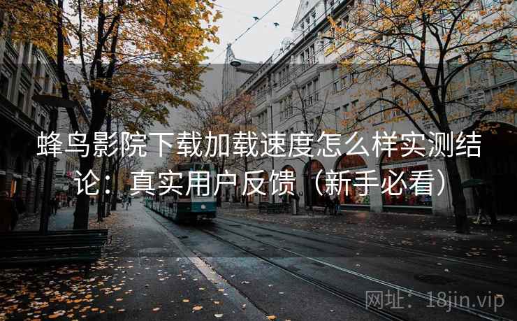 蜂鸟影院下载加载速度怎么样实测结论：真实用户反馈（新手必看）
