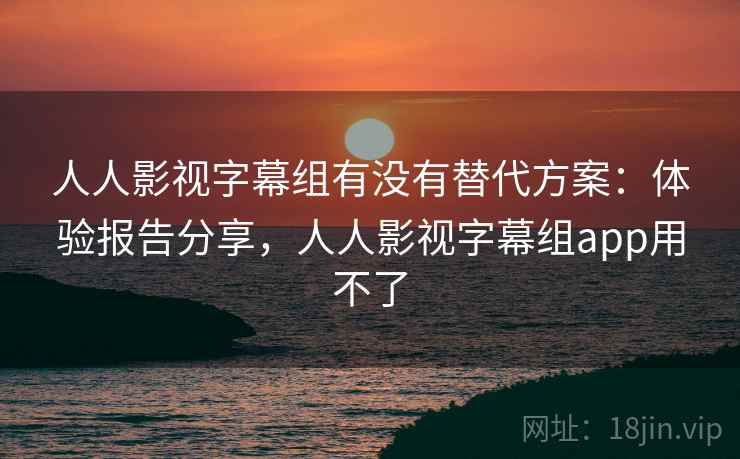 人人影视字幕组有没有替代方案：体验报告分享，人人影视字幕组app用不了