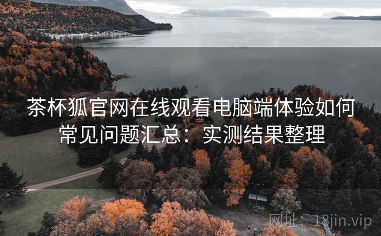 茶杯狐官网在线观看电脑端体验如何常见问题汇总：实测结果整理