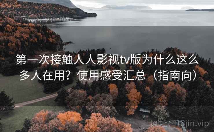 第一次接触人人影视tv版为什么这么多人在用？使用感受汇总（指南向）